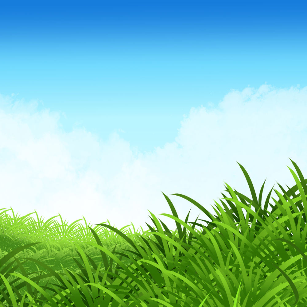3D Grass Field Background 